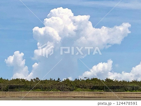 夏空 夏空 124478591