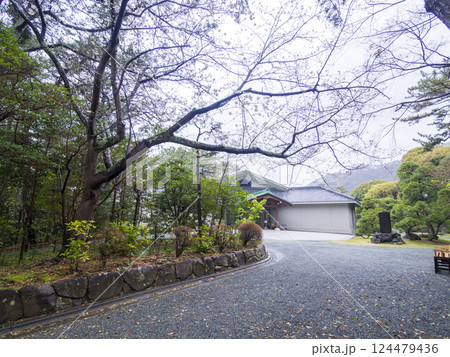 春の葉山しおさい公園 春の葉山しおさい公園 124479436