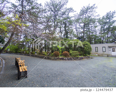 春の葉山しおさい公園 春の葉山しおさい公園 124479437