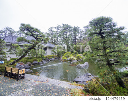 春の葉山しおさい公園 春の葉山しおさい公園 124479439