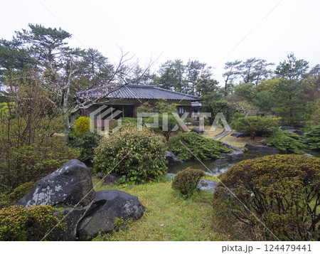 春の葉山しおさい公園 124479441
