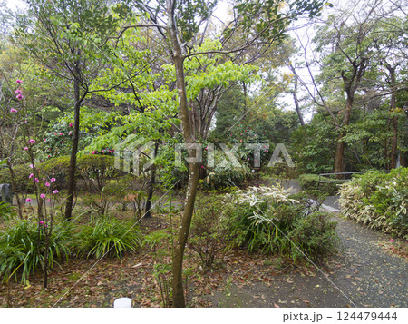 春の葉山しおさい公園 春の葉山しおさい公園 124479444