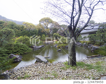 春の葉山しおさい公園 春の葉山しおさい公園 124479450