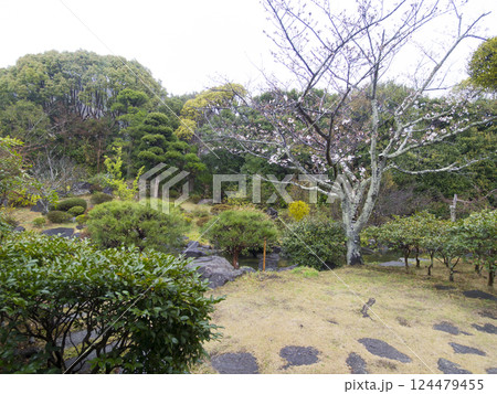 春の葉山しおさい公園 春の葉山しおさい公園 124479455