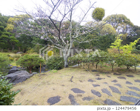 春の葉山しおさい公園 春の葉山しおさい公園 124479456