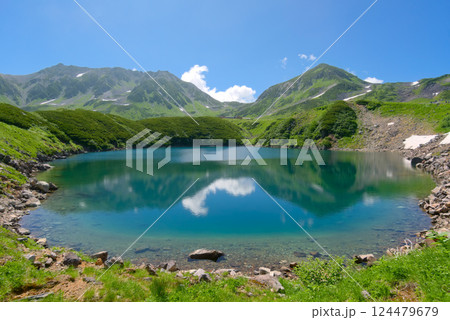 みくりが池と立山 124479679