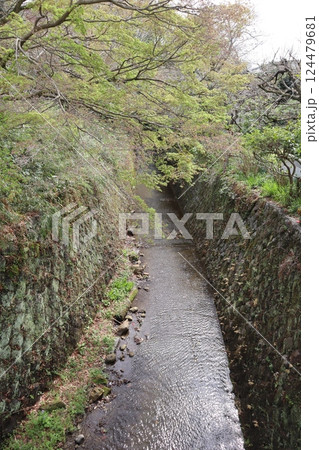 理智光寺橋から見た二階堂川 124479681