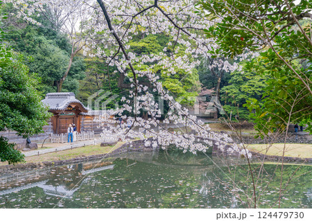【東京都】小石川後楽園・内庭・唐門 124479730