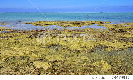 沖縄県伊是名島のガナハの浜 沖縄県伊是名島のガナハの浜 124479937