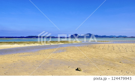 沖縄県伊是名島のガナハの浜 124479943