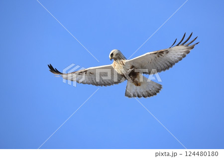 ケアシノスリ 124480180