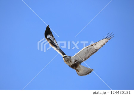 ケアシノスリ ケアシノスリ 124480181