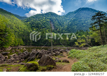 晩夏の北八ヶ岳・亀甲池の風景 124480237