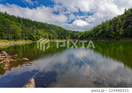 夏の北八ヶ岳・双子池・雌池の風景 124480353