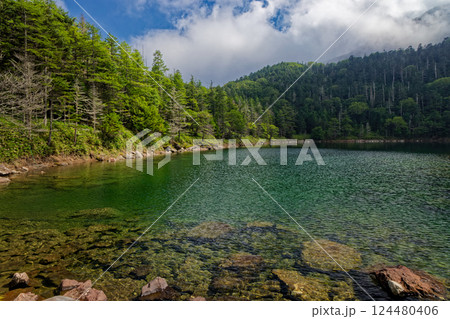 夏の北八ヶ岳・双子池・雄池の風景 夏の北八ヶ岳・双子池・雄池の風景 124480406