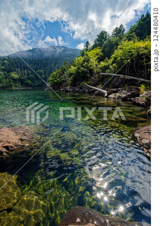 夏の北八ヶ岳・双子池・雄池の風景 124480410