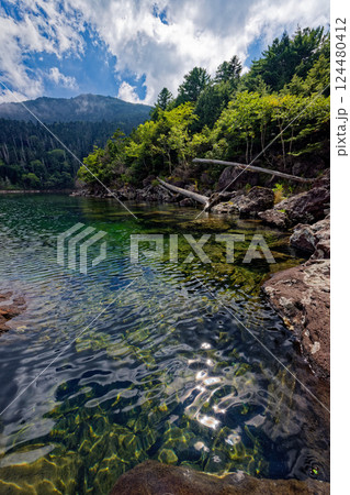 夏の北八ヶ岳・双子池・雄池の風景 夏の北八ヶ岳・双子池・雄池の風景 124480412