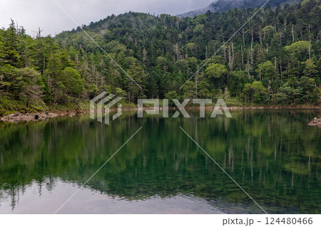 夏の北八ヶ岳・双子池・雄池の風景 124480466