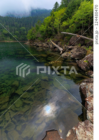 夏の北八ヶ岳・双子池・雄池の風景 夏の北八ヶ岳・双子池・雄池の風景 124480470