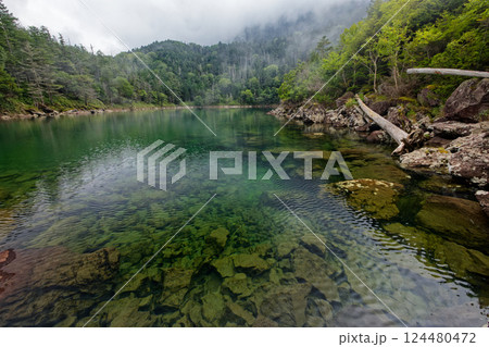 夏の北八ヶ岳・双子池・雄池の風景 124480472