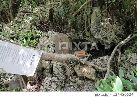 三天御座 124480524