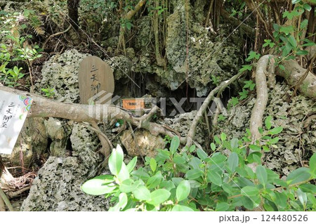 三天御座 124480526