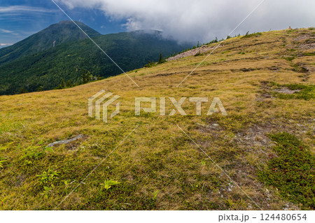晩夏の北八ヶ岳・双子山から見る蓼科山 124480654
