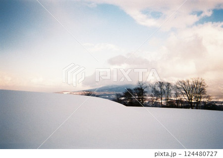 雪原と空と木々が描く静寂の風景 124480727