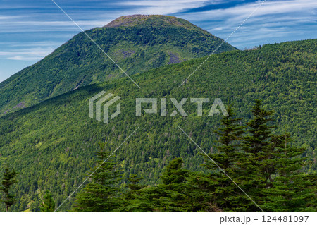 晩夏の北八ヶ岳・双子山から見る蓼科山 124481097