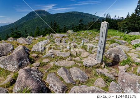 晩夏の北八ヶ岳・双子山から見る蓼科山 124481179