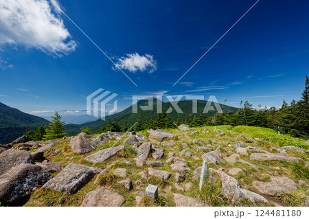 晩夏の北八ヶ岳・双子山から見る蓼科山 晩夏の北八ヶ岳・双子山から見る蓼科山 124481180