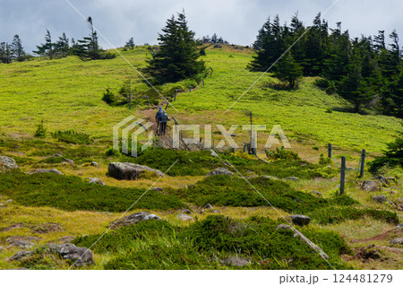 晩夏の北八ヶ岳・双子山山頂の風景 124481279