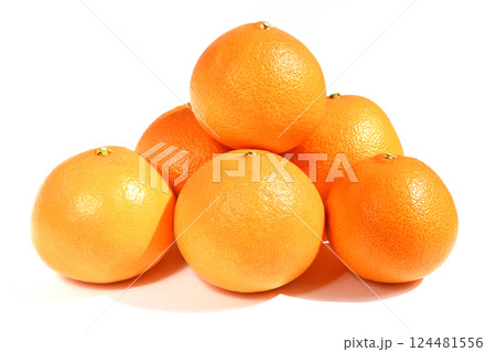 柑橘類（はるあいか） 124481556