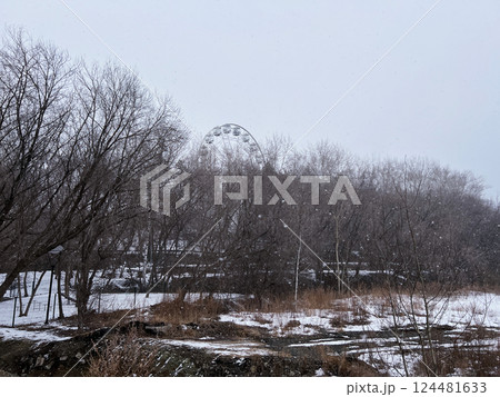 Ferris wheel partially visible through bare winter trees covered in snow. The serene landscape showcases the contrast between the dark branches and white snow on the ground 124481633
