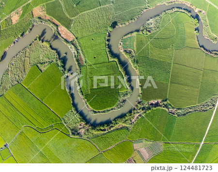 Top view Rice fields in harvest season,High angle view over countryside at northern Vietnam Top view Rice fields in harvest season,High angle view over countryside at northern Vietnam 124481723