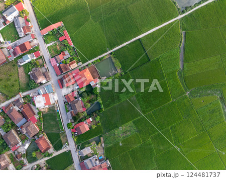 Aerial top view of Green rice field at northern vietnam,Beautiful destination in Northern Vietnam,Travel and landscape concept, Nature and rice fields background Aerial top view of Green rice field at northern vietnam,Beautiful destination in Northern Vietnam,Travel and landscape concept, Nature and rice fields background 124481737