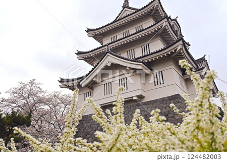 ユキヤナギの奥に見える忍城 124482003