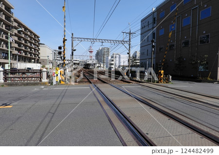 佐倉散策 124482499