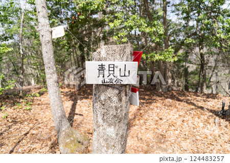 青貝山の山頂(大阪府豊能郡豊能町) 青貝山の山頂(大阪府豊能郡豊能町) 124483257