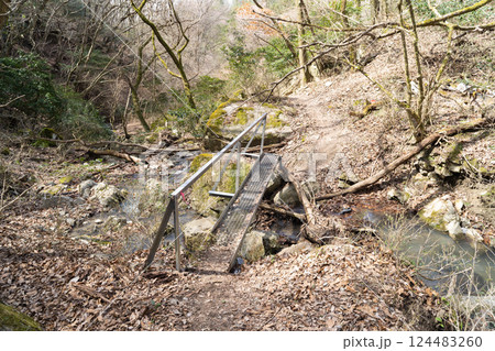 青貝山の初谷川に架かる橋(大阪府豊能郡豊能町) 青貝山の初谷川に架かる橋(大阪府豊能郡豊能町) 124483260
