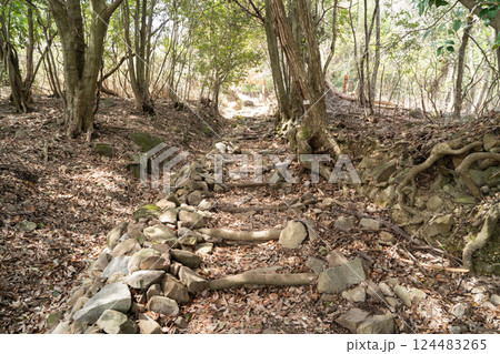 高代寺山の旧表参道コース(大阪府豊能郡豊能町) 高代寺山の旧表参道コース(大阪府豊能郡豊能町) 124483265