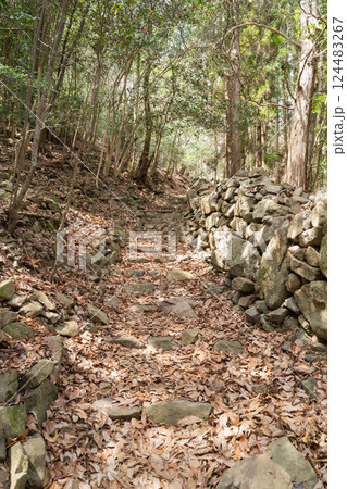 高代寺山の旧表参道コース(大阪府豊能郡豊能町) 高代寺山の旧表参道コース(大阪府豊能郡豊能町) 124483267