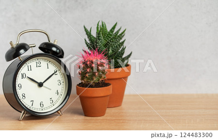 Black alarm clock showing nine o'clock with cactus and succulents in terracotta pots on wooden table 124483300