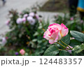 午後 昼過ぎ アフタヌーン 124483357