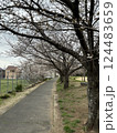 桜のある道 124483659