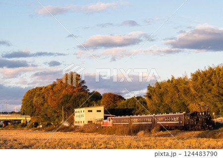 【真岡線】真岡駅へ回送されるSLもおか 【真岡線】真岡駅へ回送されるSLもおか 124483790
