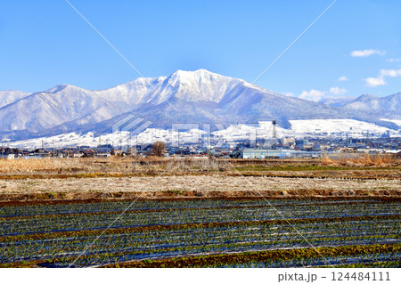 中野市より高社山／中野市街地方面を望む(長野県中野市)【2025.3】 124484111