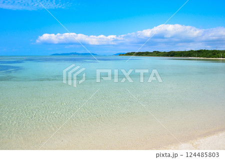 沖縄 竹富島 コンドイ浜 沖縄 竹富島 コンドイ浜 124485803