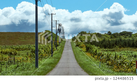 空へ続く一本道・夏の北海道 空へ続く一本道・夏の北海道 124486515