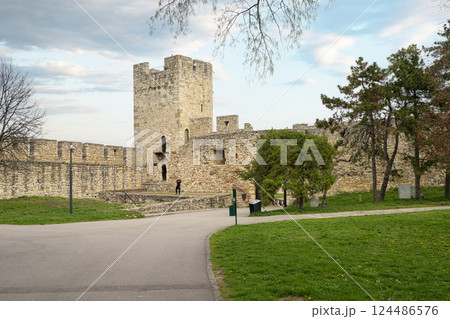 The ancient fortress in Belgrade, Serbia The ancient fortress in Belgrade, Serbia 124486576